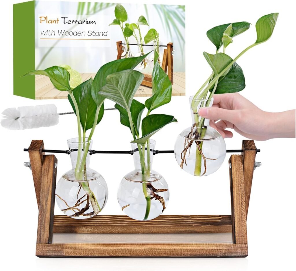 Renmxj plant propagation station review and buying guide